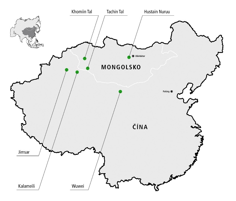 Oblasti reintrodukce koní Převalského v Mongolsku a Číně.